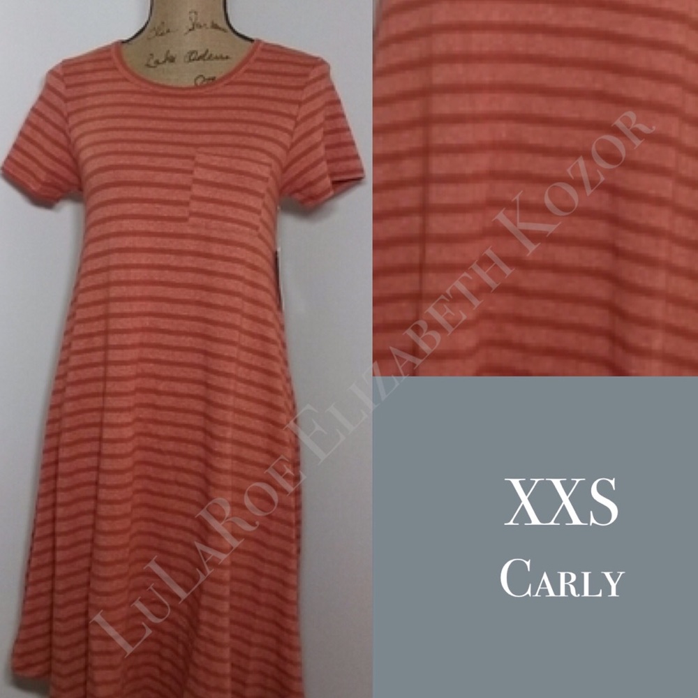 NWT! Size Down XXS Fits 0-6 LuLaRoe Carly Dress 🔸 1 Left!